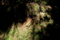 P1036280-Web