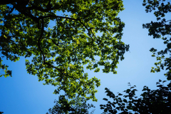 Sit down, look up
