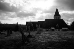 1066599-Web